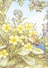 Carnet Printemps Les Souris du Buisson-aux-Mûres