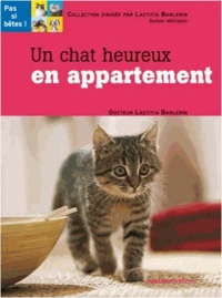Un chat heureux en appartement
