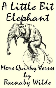 A Little Bit Elephant