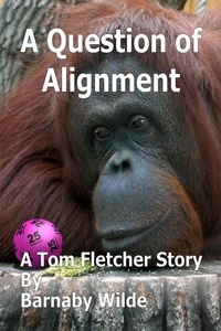  Barnaby Wilde - A Question of Alignment - The Tom Fletcher Stories, #2.