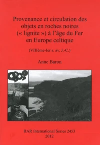 Provenance et circulation des objets en roches noires ("lignite") à l'âge du Fer en Europe celtique (VIIIe-Ier siècle avant J-C)