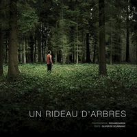 Un rideau d'arbres