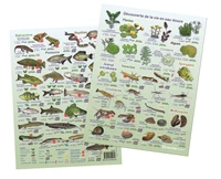 Découverte de la vie en eau douce