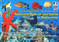 Découverte de la vie sous-marine en Méditérranée