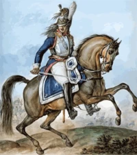 Souvenirs d'un officier de la grande armée