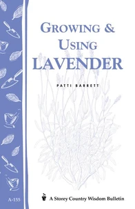 Growing &amp; Using Lavender