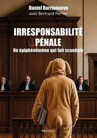 L'irresponsabilité pénale