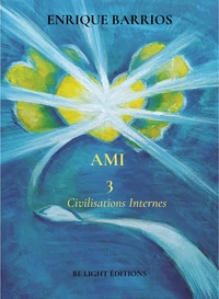 Civilisations Internes