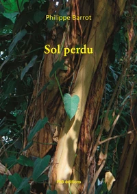 Sol perdu