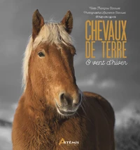Chevaux de terre & vent d'hiver