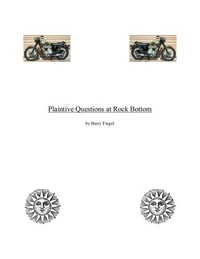 "Plaintive Questions at Rock Bottom"