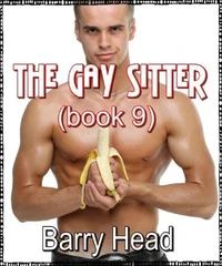 The Gay Sitter – Book 9