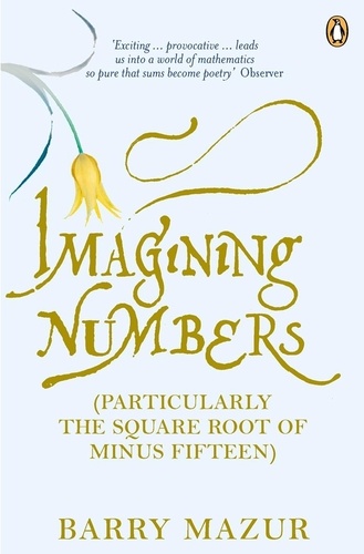 Barry Mazur - Imagining Numbers - (Particularly the Square Root of Minus Fifteen).