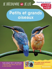 Petits et grands oiseaux