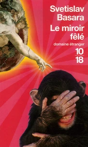 Le miroir fêlé