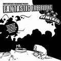  Switchstance Records - Fantastic Freeriding - Remixed LP. 1 CD audio