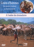Patrick Bernard et Edward Marcus - A l'ombre des dromadaires - Kenya, Tanzanie. 1 DVD