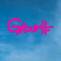  Groumpf - The Beauty, The Love, The Flawoz - 2 vinyles.