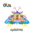  Gliz - Cydalima - Vinyle. 1 CD audio