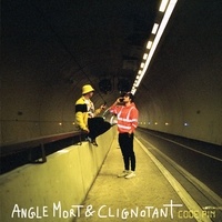  Angle mort & Clignotant - Code Pin. 1 CD audio