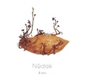  Nudak - A cru. 1 CD audio