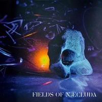  Fields of Naecluda - Fields of Naecluda. 1 CD audio