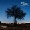  Grand Ensemble Filos - Ouranos. 1 CD audio