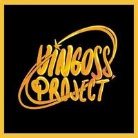  Vingoss Project - Vingoss project. 1 CD audio