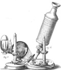 Roger Raynal - La « Micrographia » de R Hooke, ou les promesses de la technique au service des sciences de la nature.