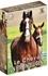  Passion Découverte - Le cheval - Un être intelligent. 3 DVD