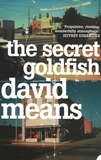 David Means - The Secret Goldfish.
