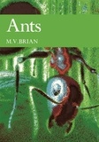 M. V. Brian - Ants.