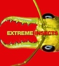 Richard Jones - Extreme Insects.