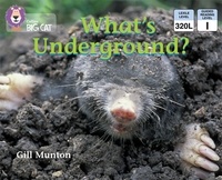 Gill Munton et Peter Bull - What’s Underground - Band 04/Blue.