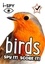 i-SPY Birds - Spy it! Score it!.