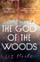 Liz Moore - The God of the Woods.