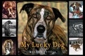 Mellon Tytell - My Lucky Dog.