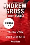 Andrew Gross - The Andrew Gross - The Dark Tide, Don't Look Twice, and Reckless.