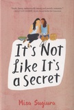 Misa Sugiura - It's not Like it's a Secret.
