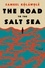 Samuel Kolawole - The Road to the Salt Sea - A Novel.