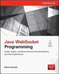 Java WebSocket Programming.