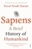 Yuval Noah Harari - Sapiens - A Brief History of Humankind.