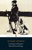 Richard Jefferies - Landscape with Figures - Selected Prose Writings.
