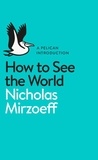 Nicholas Mirzoeff - How to See the World.