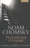 Noam Chomsky - The Architecture Of Language.