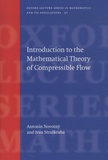 Antonin Novotny et Ivan Straskraba - Introduction to the Mathematical Theory of Compressible Flows.