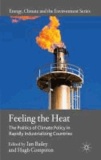 Feeling the Heat - The Politics of Climate Policy in Rapidly Industrializing Countries.