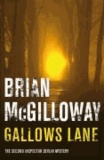 Brian McGilloway - Gallows Lane.