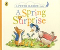 Beatrix Potter - A Peter Rabbit Tale  : A Spring Surprise.