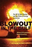 Blowout in the Gulf - The BP Oil Spill Disaster and the Future of Energy in America.